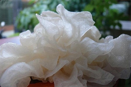 ?蚵仔湯抗痘、泡菜拌飯助睡眠 10款排毒抗發(fā)炎菜單