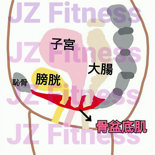 月經(jīng)來(lái)了可以運(yùn)動(dòng)么 生理期推薦的運(yùn)動(dòng)