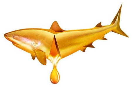 孕期怎么補(bǔ)充營(yíng)養(yǎng)?魚(yú)油可幫助
