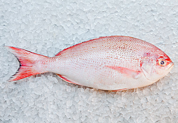 孕婦吃什么魚(yú)好 補(bǔ)充魚(yú)油注意事項(xiàng)
