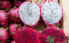 火龍果有什么營養(yǎng)價(jià)值?火龍果的功效與作用.png 火龍果有什么營養(yǎng)價(jià)值?火龍果的功效與作用.png