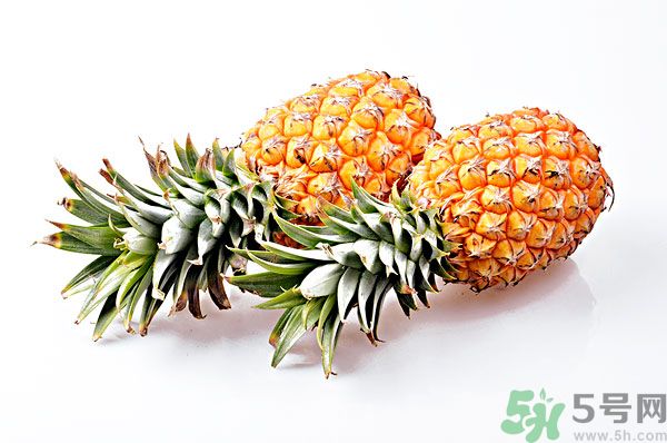 芒果和菠蘿能一起吃嗎？芒果和菠蘿一起吃好嗎？