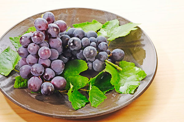 膽結(jié)石能吃葡萄嗎？膽結(jié)石患者吃葡萄好不好？