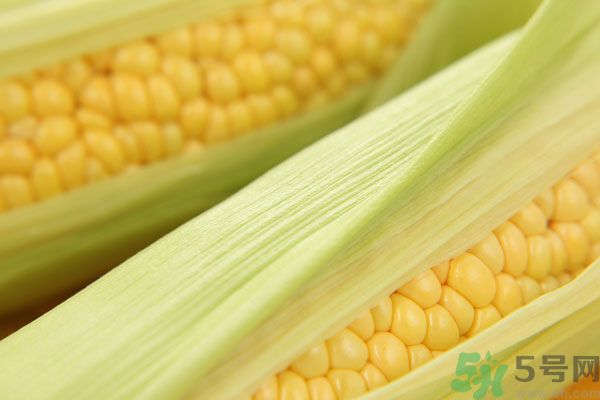 哺乳期能吃玉米回奶嗎？產(chǎn)婦吃玉米會回奶嗎？