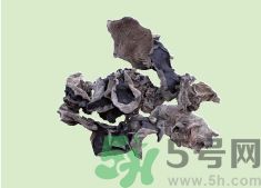 高血壓可以吃黑木耳嗎？木耳降血壓的做法有哪些？