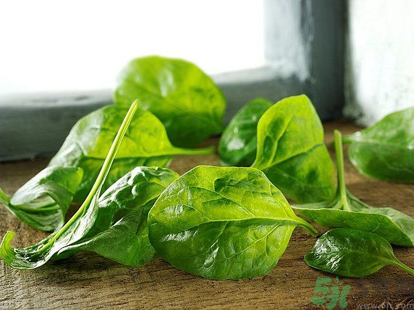 缺鐵有什么癥狀和危害？含鐵高的食物有哪些？
