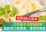 吃芹菜可以去口臭嗎？口臭可以吃芹菜嗎？