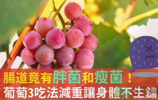 吃葡萄可以不吐葡萄籽嗎？吃葡萄皮好不好？