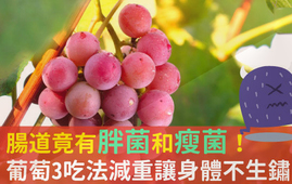 吃葡萄可以不吐葡萄籽嗎？吃葡萄皮好不好？