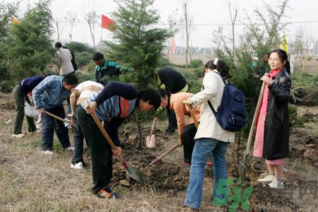 植樹節(jié)是幾月幾日？植樹節(jié)可以做些什么活動？