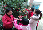 植樹節(jié)是幾月幾日？植樹節(jié)可以做些什么活動？