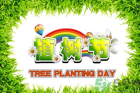 植樹(shù)節(jié)在哪里可以買樹(shù)苗?植樹(shù)節(jié)可以自己種樹(shù)嗎?
