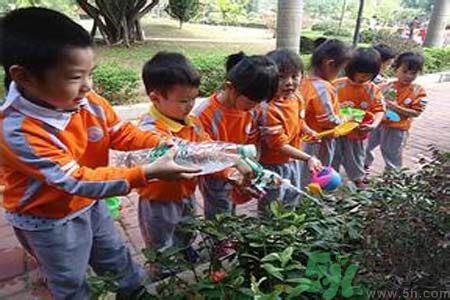 如何提高植樹的成活率？植樹節(jié)種樹要注意哪些細節(jié)？