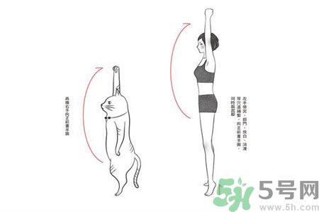 電腦族肩膀痛疼怎么辦？肩膀痛疼怎么解決？