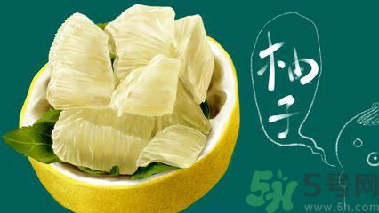 多吃柚子能減肥嗎？怎樣吃柚子才健康？
