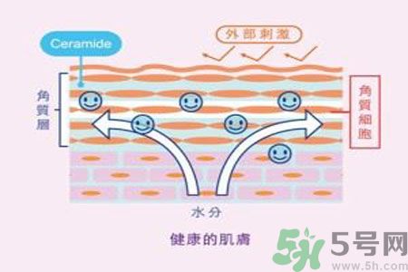 皮膚炎癢是怎么回事？皮膚炎發(fā)作怎么治療？