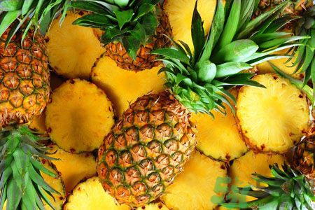 菠蘿和鳳梨有什么區(qū)別？菠蘿和鳳梨誰更好吃？