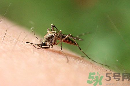 黃熱病可以吃水果嗎？怎么預(yù)防黃熱病癥狀？