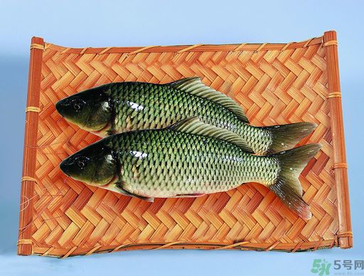 孕婦吃什么魚對胎兒好？孕婦吃什么魚最好？
