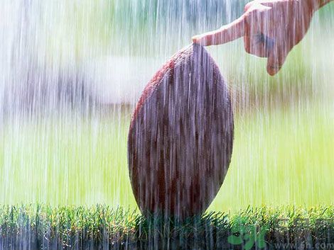 濕氣重的癥狀？怎么去除體內(nèi)的濕氣？