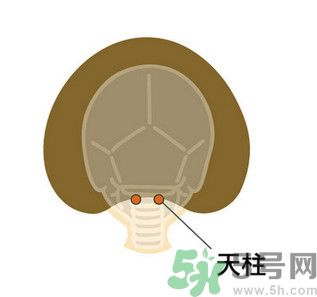 臉總是腫腫的怎么辦？臉有點浮腫怎么消腫？