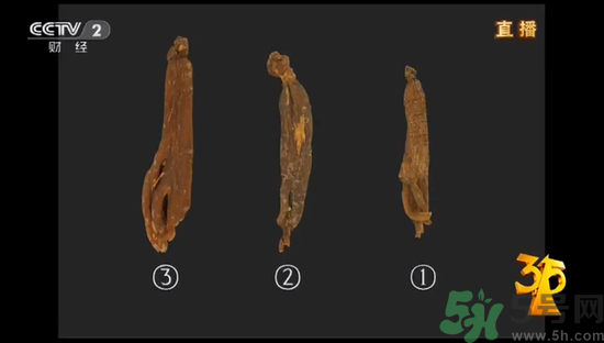紅參怎么挑選？紅參摻糖怎么辯解？