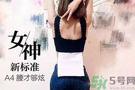 B5腰圍比A4腰圍更好？B5腰是什么意思？