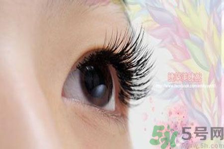 種睫毛的危害有哪些？種睫毛能保持多久？