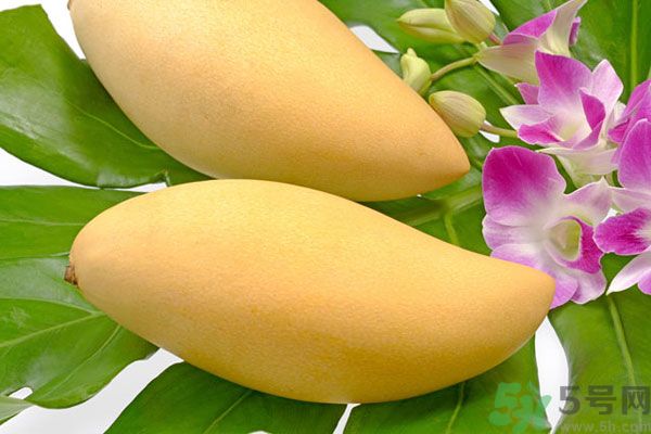 吃芒果嘴唇過敏怎么辦？為什么吃了芒果后嘴巴癢？