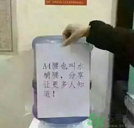 a4腰也叫水桶腰是什么意思？a4腰也叫水桶腰圖片？ 