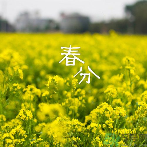 春分時(shí)養(yǎng)生要注意什么？春分要預(yù)防哪些疾??？