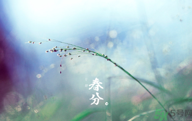 春分時(shí)養(yǎng)生要注意什么？春分要預(yù)防哪些疾病？