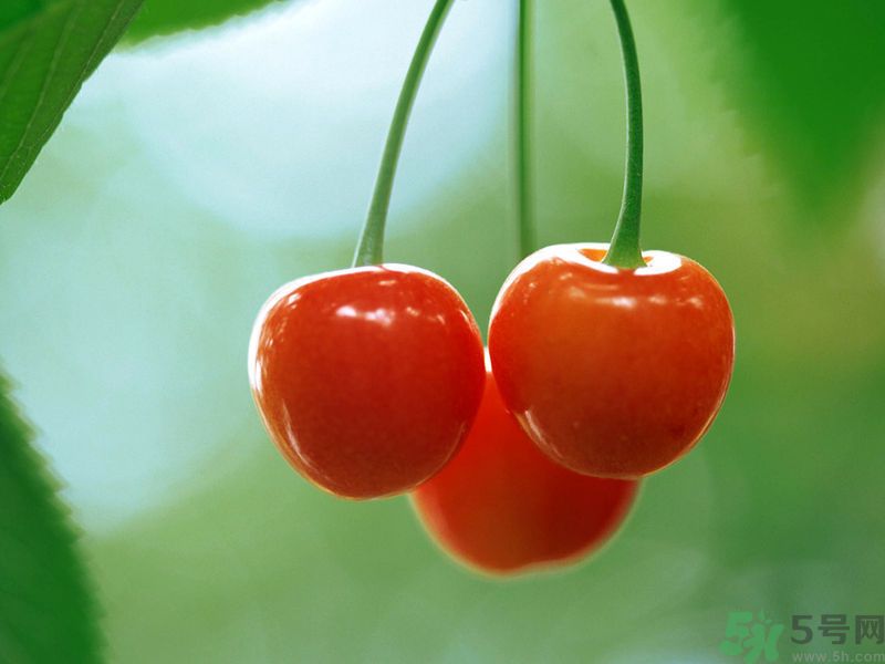 春分時節(jié)養(yǎng)生吃什么水果好？那些水果可以春天吃？