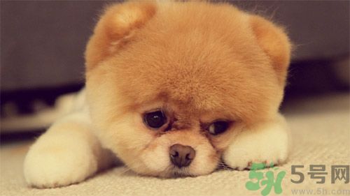 睡覺(jué)能戴手表嗎？睡覺(jué)不能帶的東西有哪些？