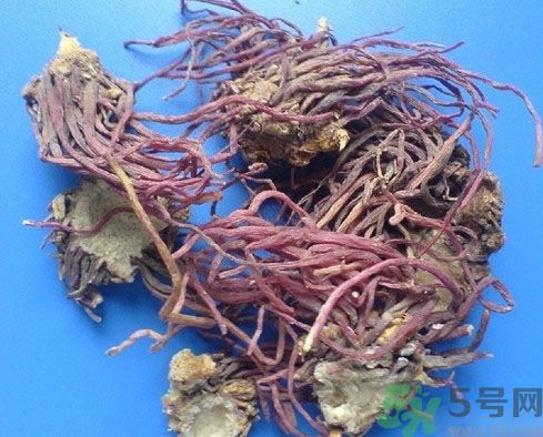 紫菀的功效和作用是什么？紫菀的用法用量是多少？