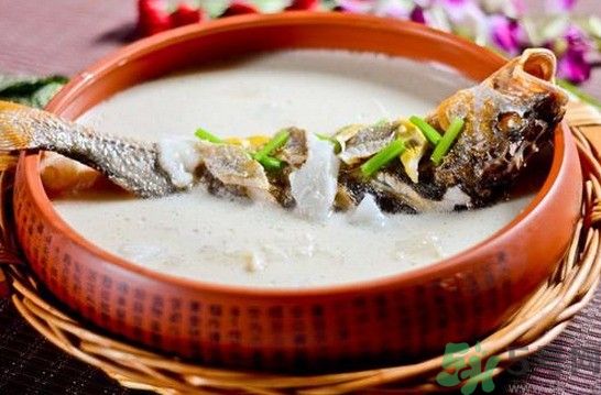 煲魚湯怎么去腥？家常魚湯做法有哪些？