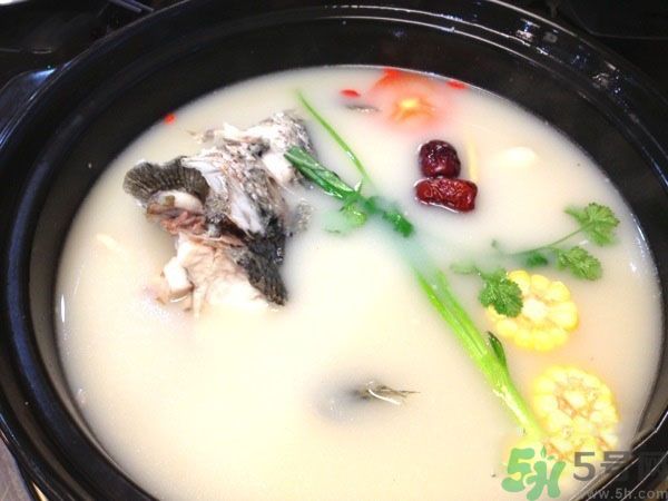 煲魚湯怎么去腥？家常魚湯做法有哪些？