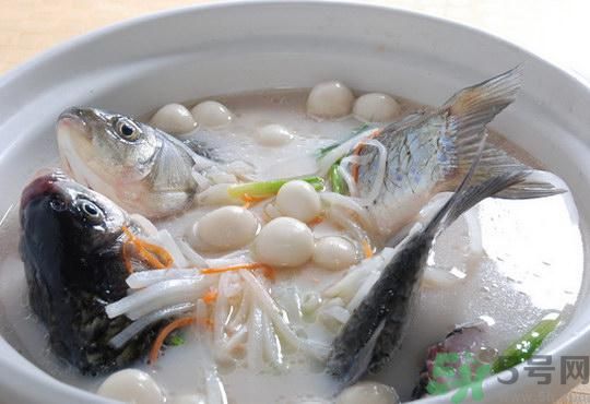 煲魚湯怎么去腥？家常魚湯做法有哪些？