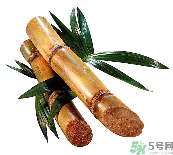 清明節(jié)能吃甘蔗嗎？清明節(jié)吃甘蔗會中毒嗎？