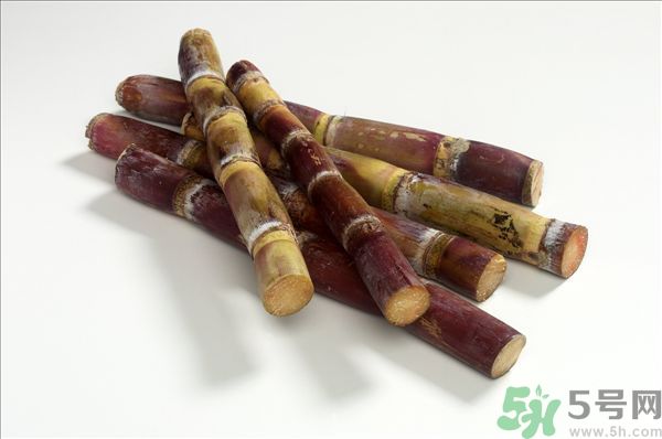 清明節(jié)能吃甘蔗嗎？清明節(jié)吃甘蔗會中毒嗎？
