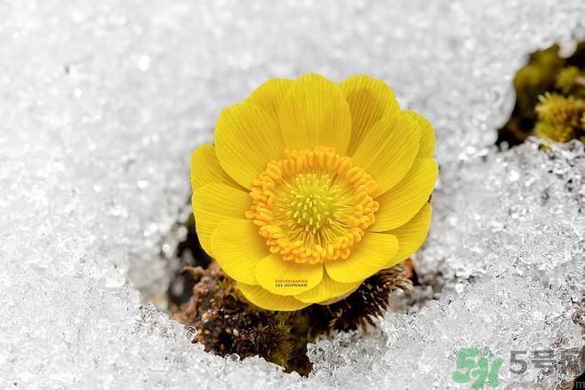 清明節(jié)有哪些習(xí)俗？清明節(jié)習(xí)俗的來(lái)源？