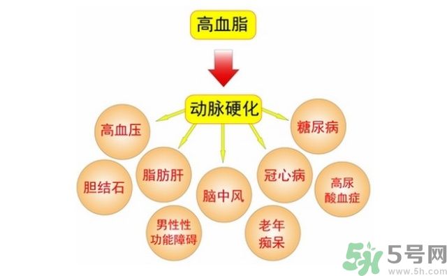 吃什么可以降血脂？高血脂吃什么好？
