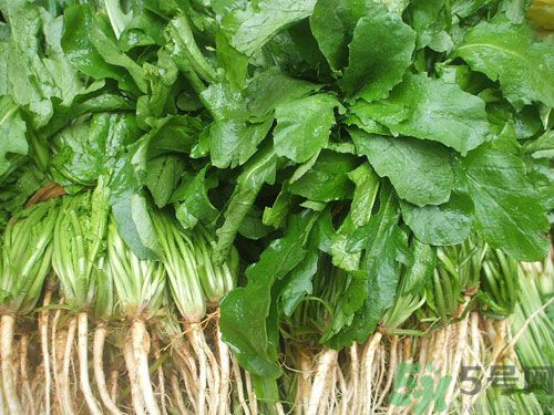 薺菜是發(fā)物嗎？薺菜是不是發(fā)物？