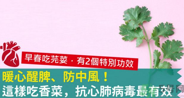 春天吃香菜好嗎？春天吃香菜有什么好處？