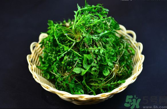 薺菜根能吃嗎？薺菜要去根吃嗎？