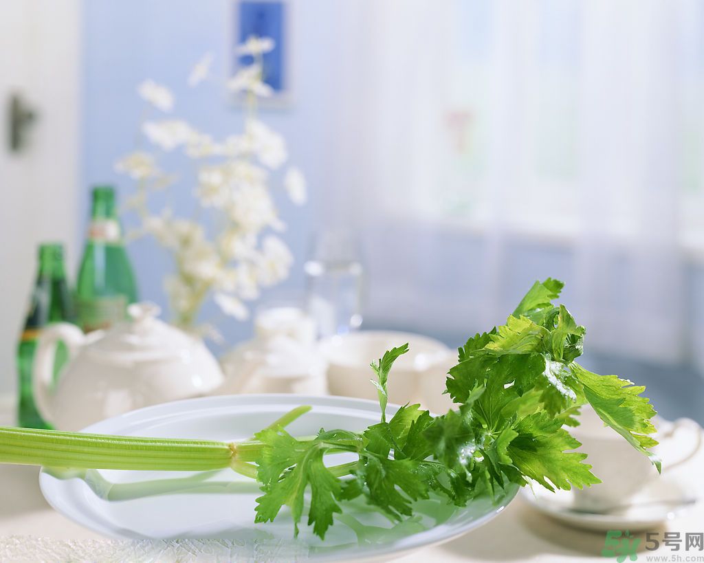 芹菜可以減肥嗎？芹菜有什么功效？