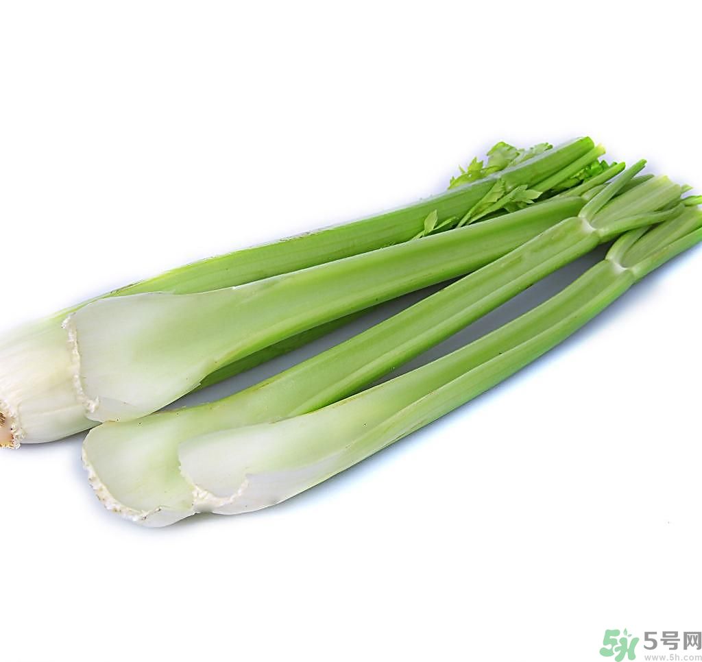 芹菜可以減肥嗎？芹菜有什么功效？