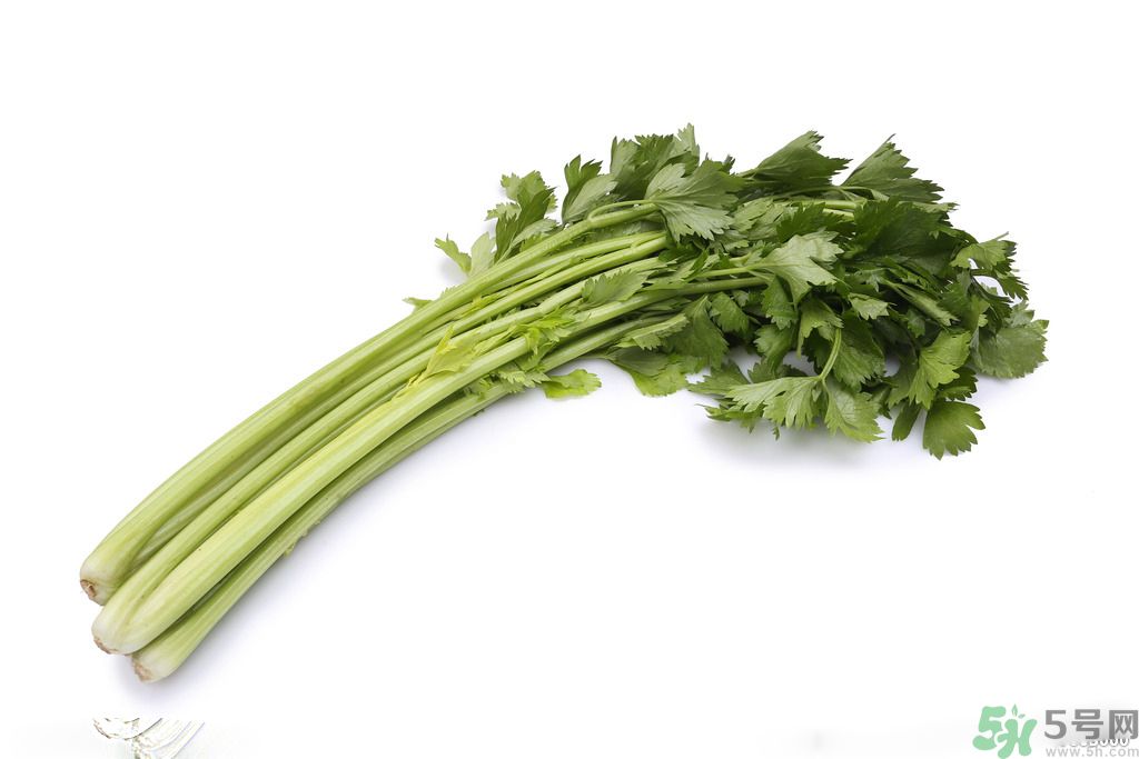 芹菜可以減肥嗎？芹菜有什么功效？