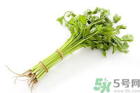 芹菜可以減肥嗎？芹菜有什么功效？