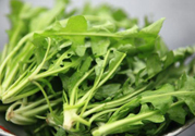 薺菜為什么要焯水？薺菜要用開水燙嗎？